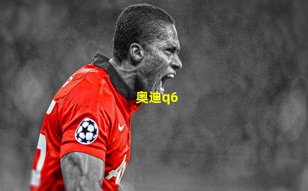 奥迪q6