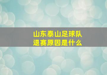 山东泰山足球队退赛原因是什么