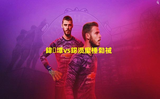 鍏墰vs鐚涢緳棰勬祴